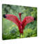Reproduction d'oiseau rose - Art mural nature tropicale - Flamant rose, affiche sur toile - Illustration de la faune rose doux - Décoration tropicale côtière - Décoration murale nature sereine - Reproduction d'art moderne-1148868848-1148868849