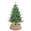 Seagrass Tree Collar
