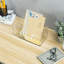 Hemanshu Acrylic Mail Box Desk Organiser