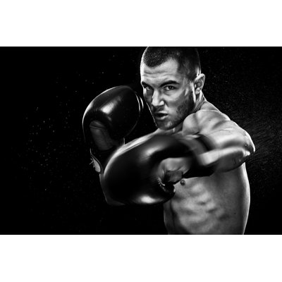Boxing by Mikeorlov - Wrapped Canvas Print