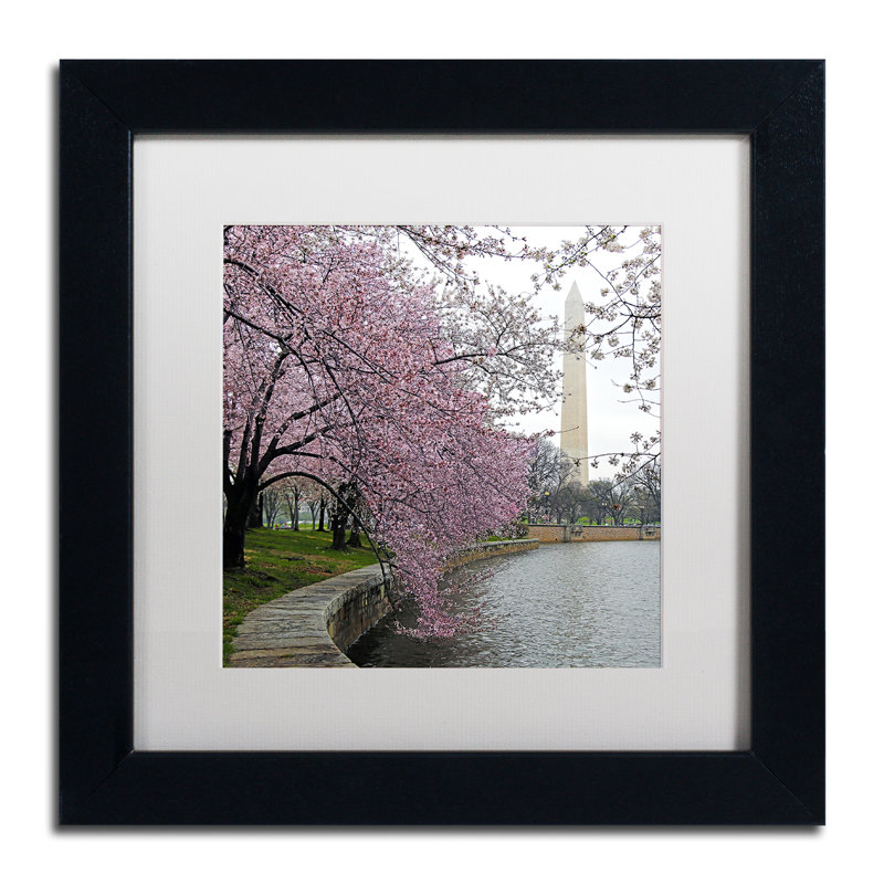 Washington fleurs, reproduction de photo encadrée, H 11 po x l 14 po x P 0,5 po, Blanc