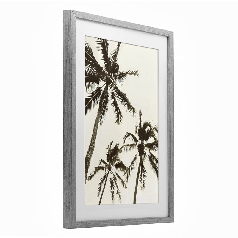 «Classic Palm Trees», reproduction encadrée sous verre, design par LSR Design Studio, Cadre de ferme gris, H 20 po x l 14 po
