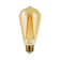 5.5 Watt ST19 E26/Medium (Standard) Dimmable 2200K Bulb