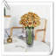 Tiges de rose Kozeroff