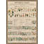 Botanical Chart 1 Print by Nathan Turner