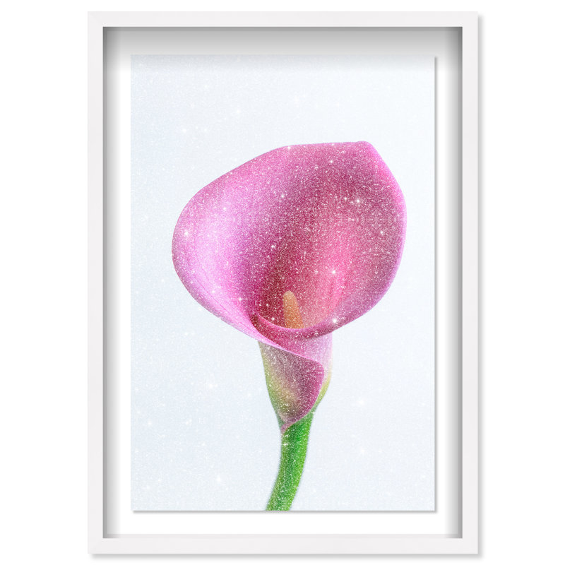 Pink Luminescence I Print by Oliver Gal, 37.5"H x 55.5"W, White Shadowbox
