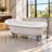 67.3 " L x 29 " W Freestanding and Clawfoot Soaking Acrylic Bathtub