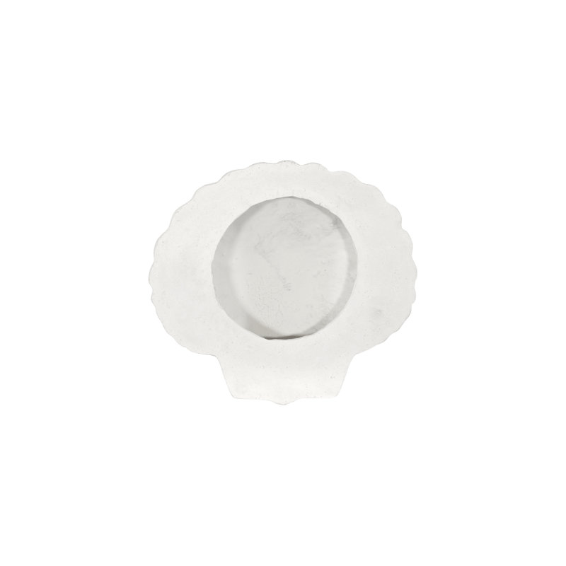 Sea Shell Wall Art, White Stone