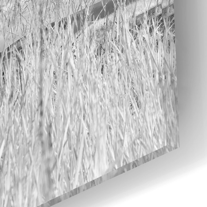 Art mural en verre Red Barrel Studio® «Abandonné Grain Elevator In The Palouse» par Rick Berk, H 12 po x l 16 po x P 0,13 cm