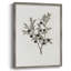 Impression florale vintage encadrée CLXV - bois massif-413263454