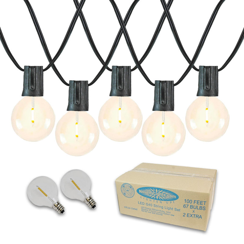Guirlande de 67 ampoules DEL Doyne 100 pi pour l'extérieur (connectable de bout en bout), Noir, G40