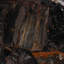Table d'appoint Petrified Wood