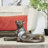 Black Polyresin Leopard Laying Decorative Sculpture