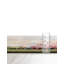 Tapis Tayfur-1766249123