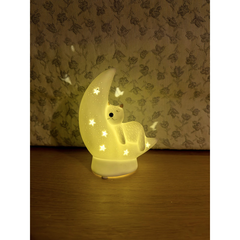 Novelty Lamp