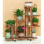 Support pour plante Kinard