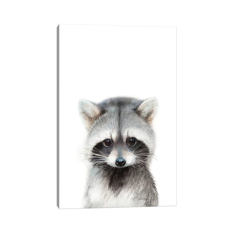 Baby Raccoon - Wrapped Canvas Painting, 20.32 cm H x 30.48 cm W