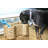 Bay Isle Home™ Decorative Basket
