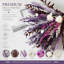 Bouquet de fleurs séchées bohème violettes - 43 cm (17 pouces) d'herbes de la pampa pour décoration intérieure ou centre de table de mariage