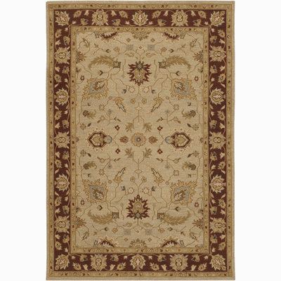 Pooja Wool Area Rug in Brown/Tan