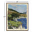 'Point Lobos' Framed Print