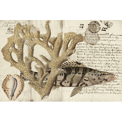 Sealife Journal II - Wrapped Canvas Print