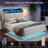 Sharwin Upholstered Wood and Metal Floating Bed with LED-1696856488