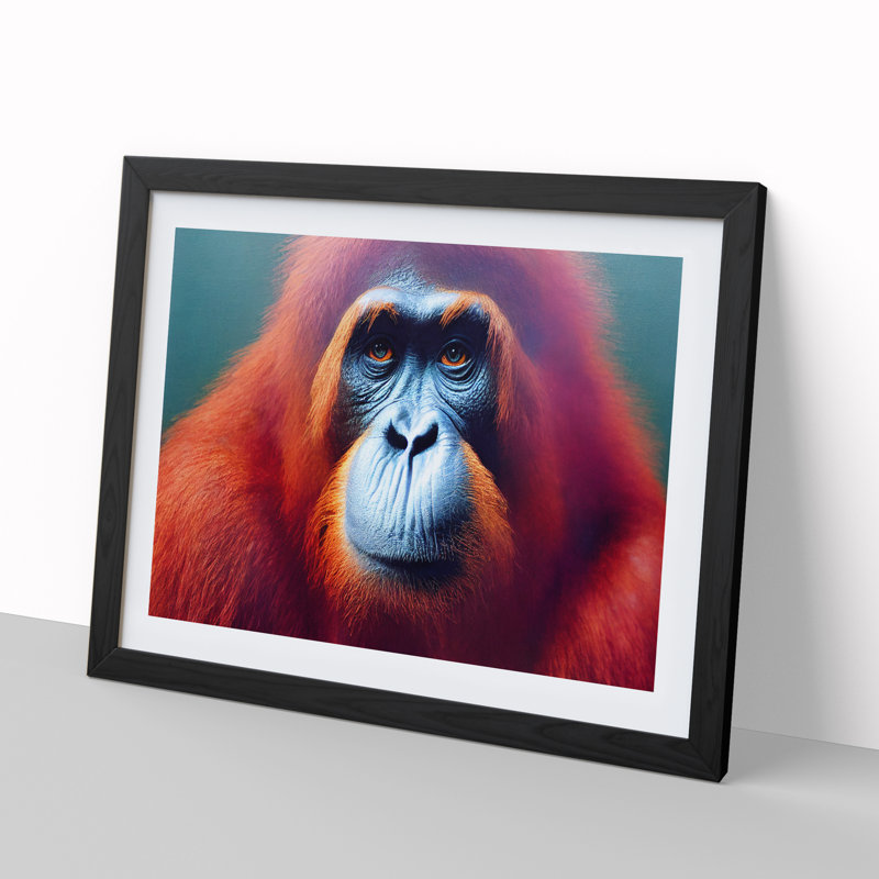 XH1022-8646X Superb Orangutan - Single Picture Frame Print, Black, 46cm H x 64cm W x 2cm D