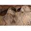 Tapis de couloir antique antique 4 x 11