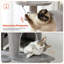 Tour pour chat multi-niveaux-237279347