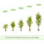 Anilya Faux Bamboo Plant-2131427148