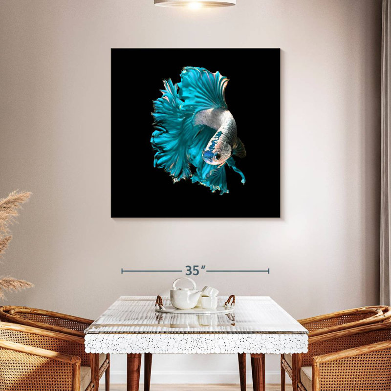 Brampt Plush Fighter Fish, 39" H x 39" W