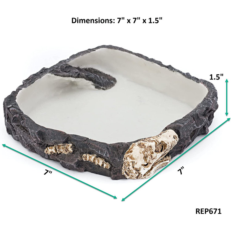 Plat à roches fossiles Reptile