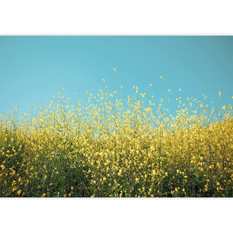 Scénique champ de fleurs sauvages jaunes, L 66 po x l 96 po