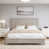 Antique Beige