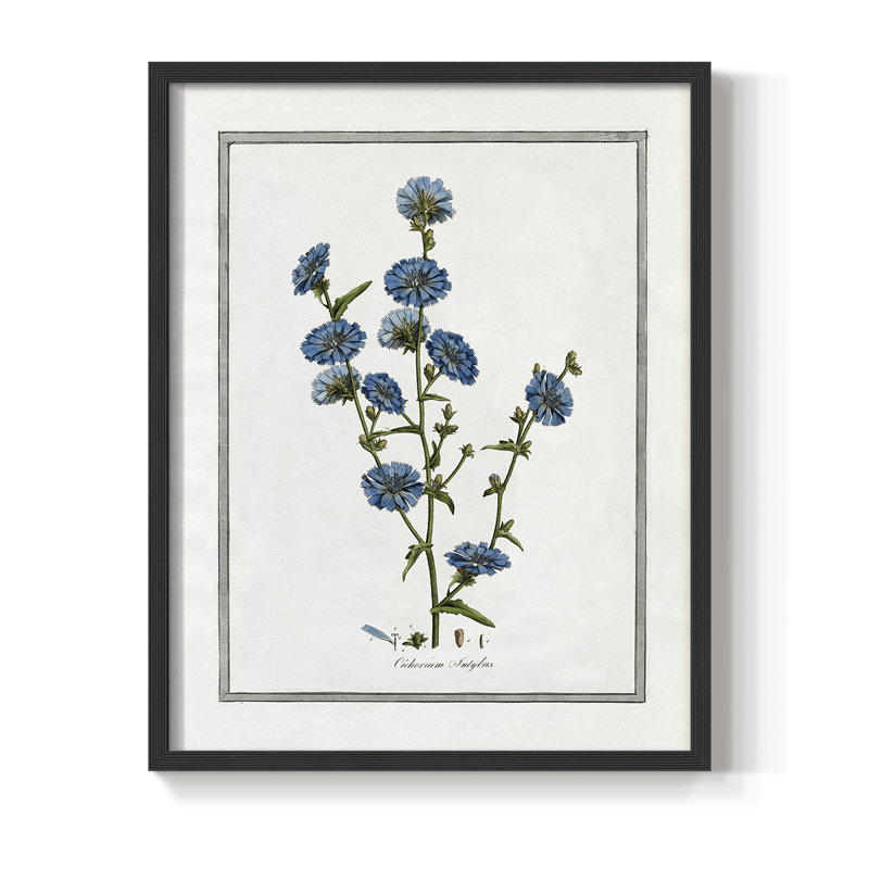 «Soft Botanical I», reproduction encadrée - bois massif, H 10 po x l 8 po, Noir