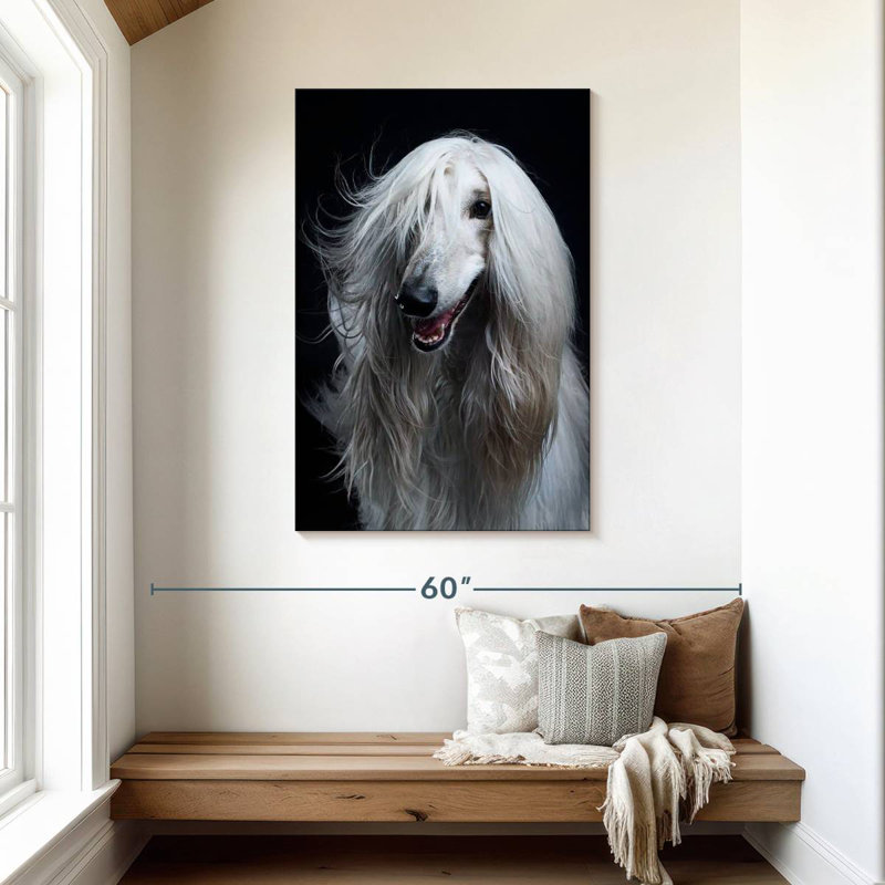 Brampt Long Haired Afghan Hound, 45" H x 30" W