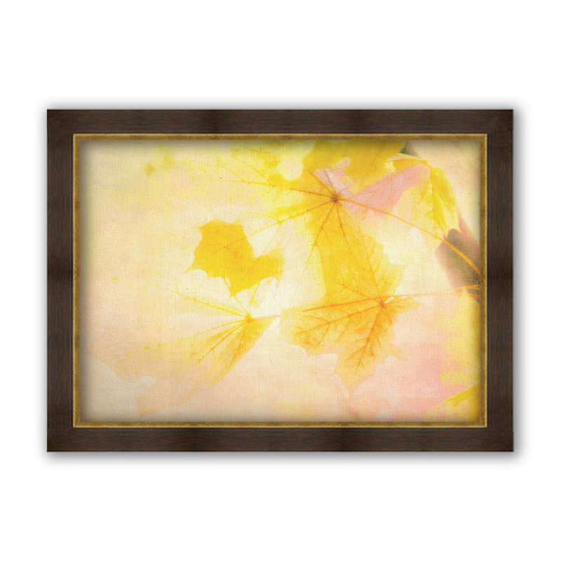 Golden Autumn Moment par Hal Halli. Impression sur papier - Montée et encadrée, H 40 po x l 52 po