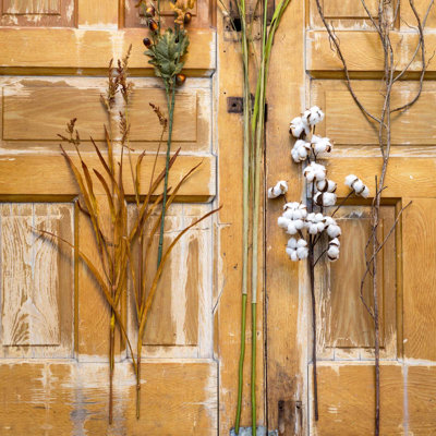 Pasture Grass Collection