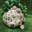 Statue de jardin fantaisiste crapaud «Dreamer»-637345888-637345891