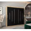 Aarun 2 Door Manufactured Wood Wardrobe-207121366