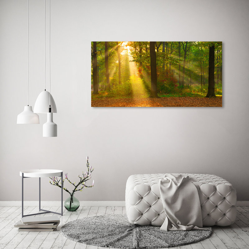 Forest In The Sun - Wrapped Canvas Print