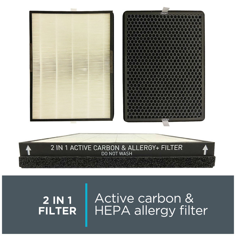 Rowenta 2-in-1 Active Carbon and Allergy Air Purifier Filter
