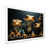 White Single Picture Framed