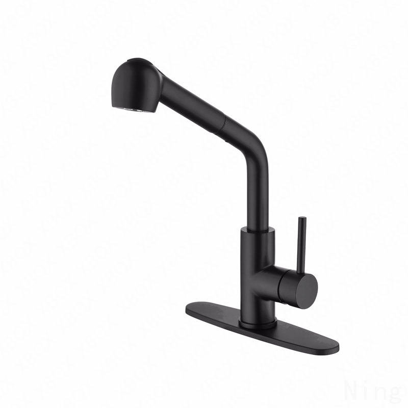 Robinet d'évier de cuisine à poignée simple avec douchette extractible, Noir mat