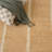Larsen Jute Rug-832860710