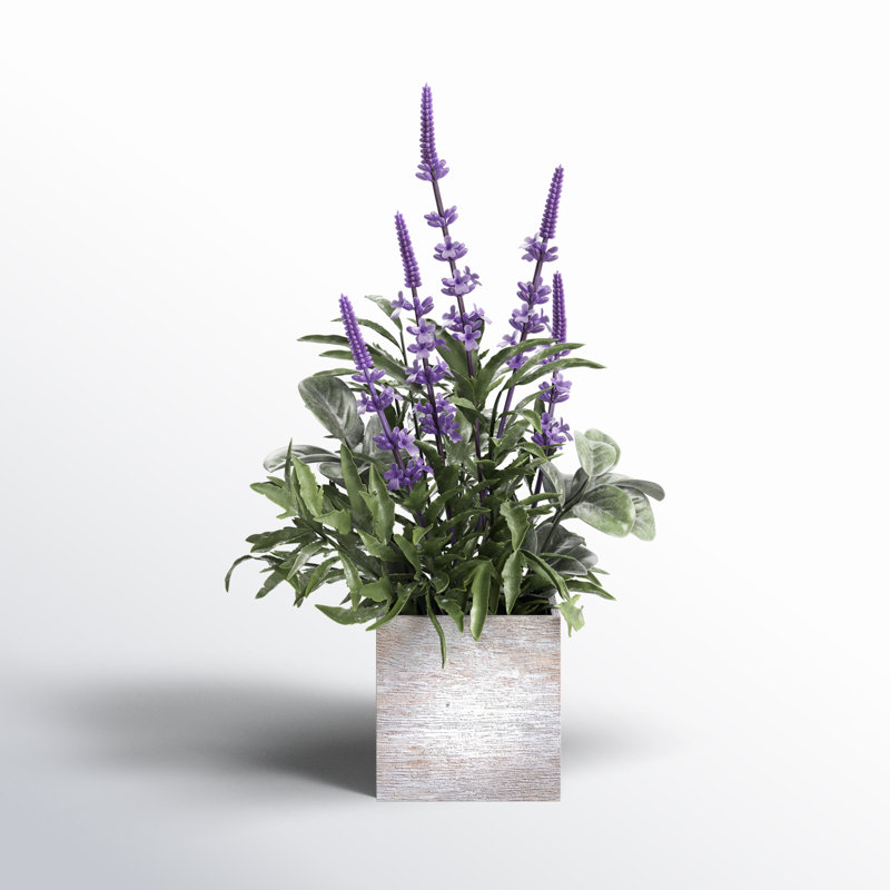 Arrangement floral lavande en pot