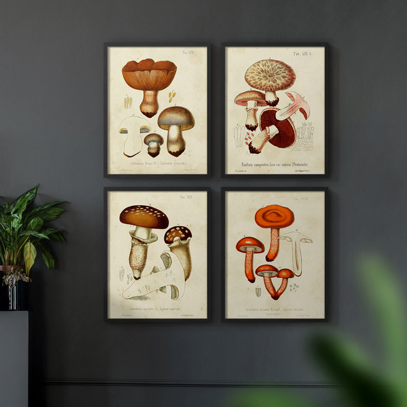 «Mushroom Variétés I», ensemble de 4 encadrées, Noir, H 14 po x l 44 po