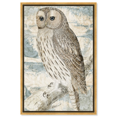 Animals Vintage Owl, Traditional Brown On Canvas Graphic Art