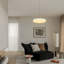 Omekia 1 - Light Brushed Nickel LED Novelty Pendant